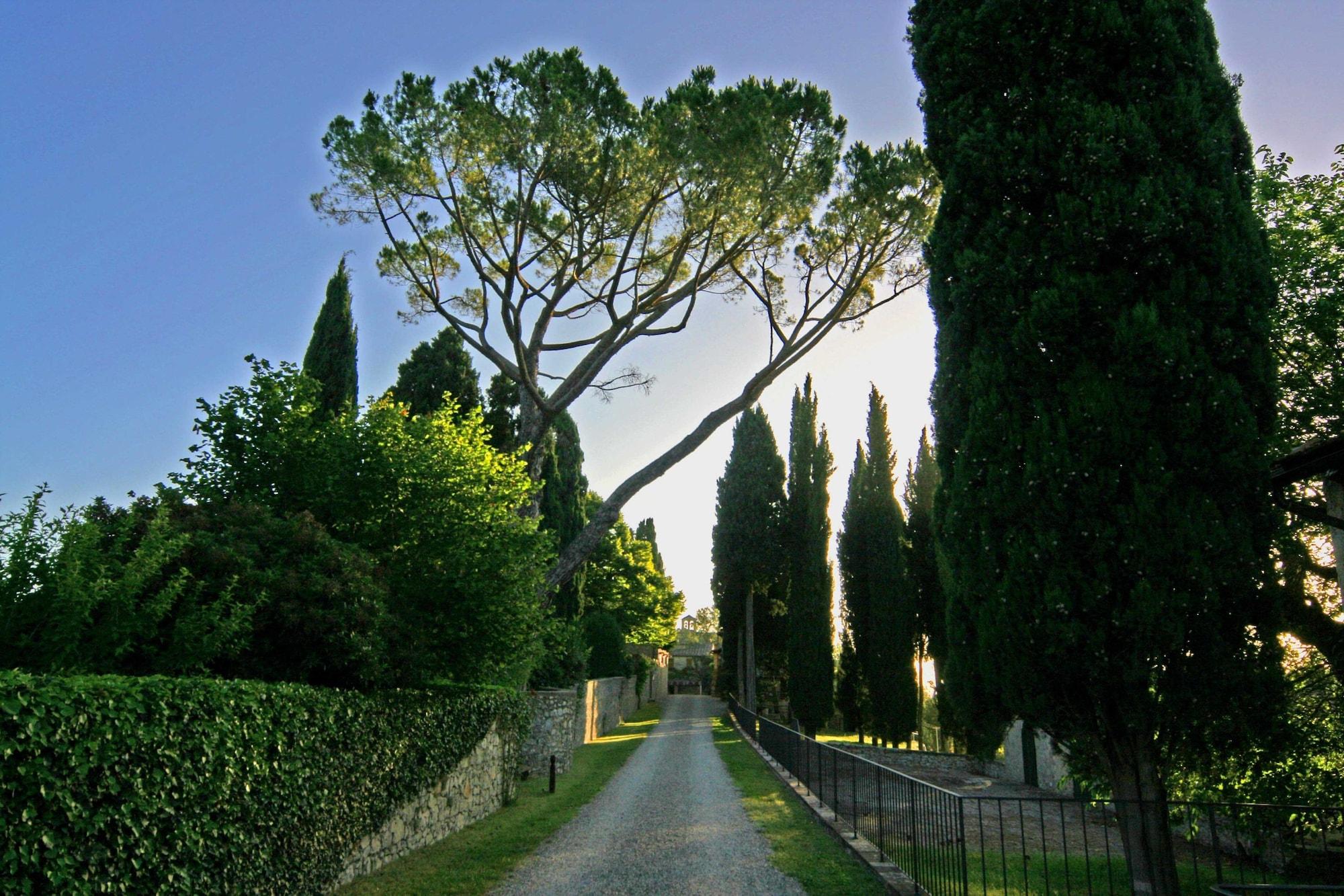 Tenuta Di Ricavo Castellina in Chianti Exteriör bild