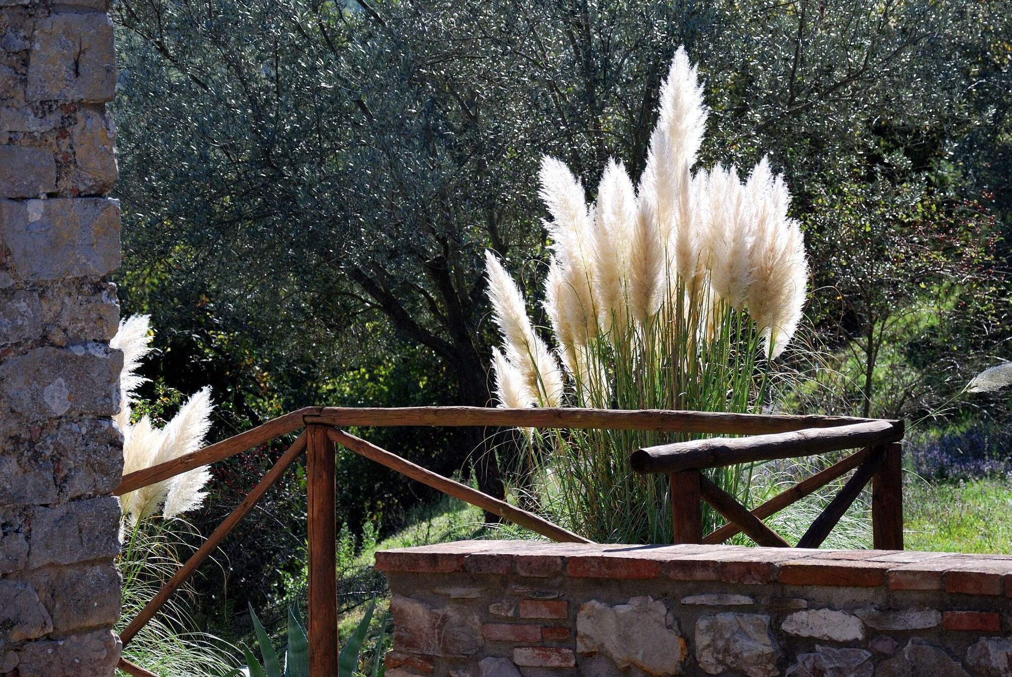 Tenuta Di Ricavo Castellina in Chianti Exteriör bild